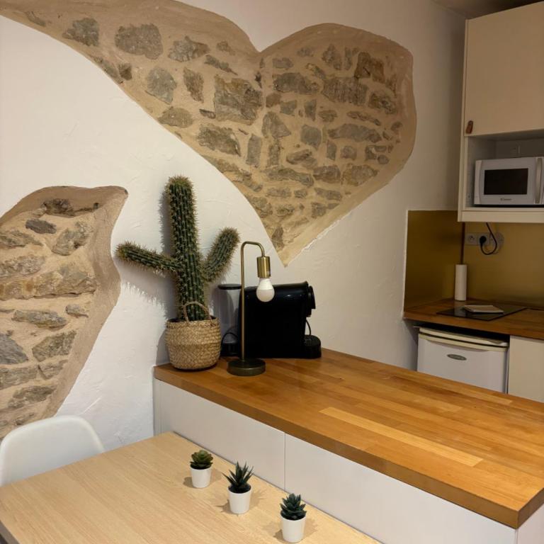 Le Terra Cotta - Climatise - Calme centre de Dijon - Appartement 1 Chambre - 21