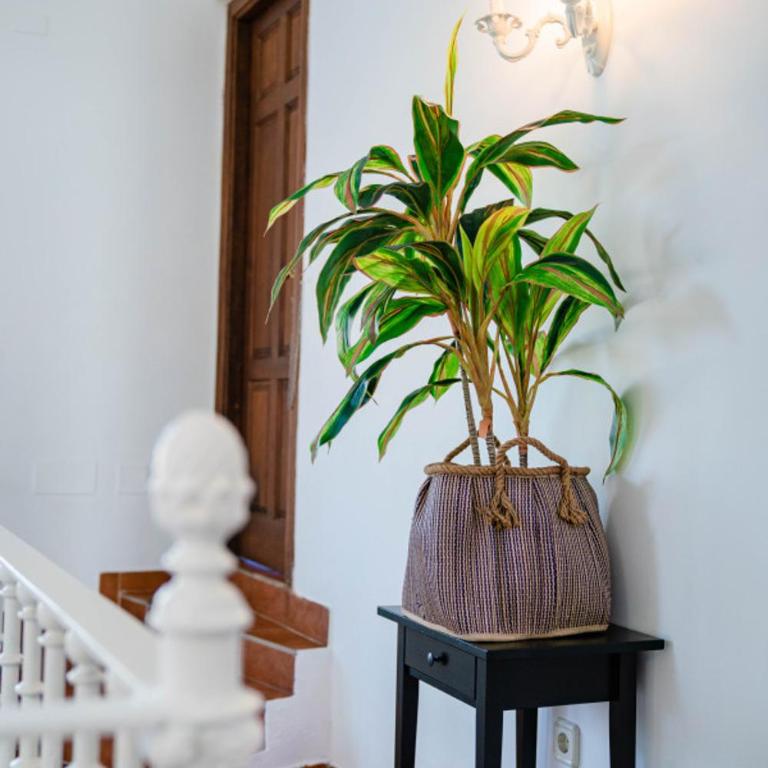 Villa 10 Luxe by Lirios Village Marbella - Superb Location and Heated Pool - Casa de 8 dormitorios - 77
