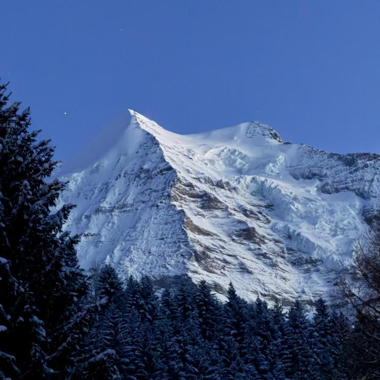 Staubbachbänkli - Apartment mit Blick auf die Berge - 29