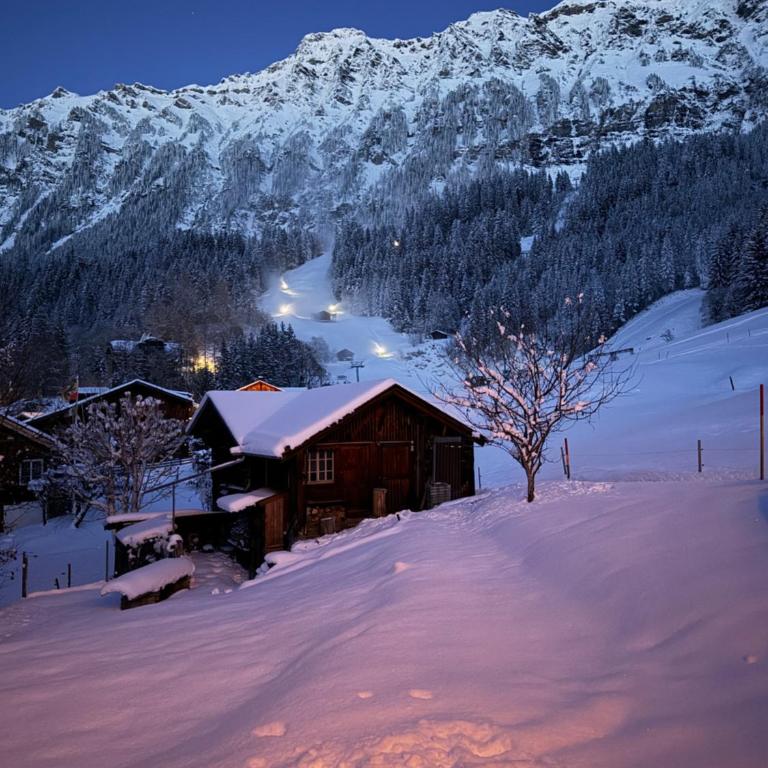 Staubbachbänkli - Apartment mit Blick auf die Berge - 20