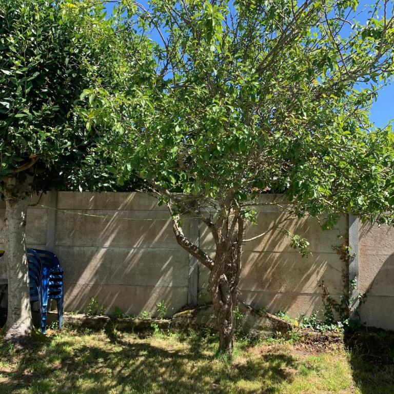 Madoujo petite villa à 200m de la plage - Maison 1 Chambre - 15