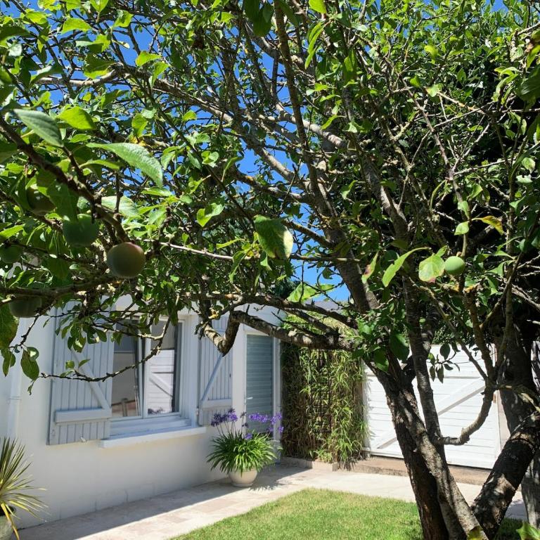 Madoujo petite villa à 200m de la plage - Maison 1 Chambre - 20