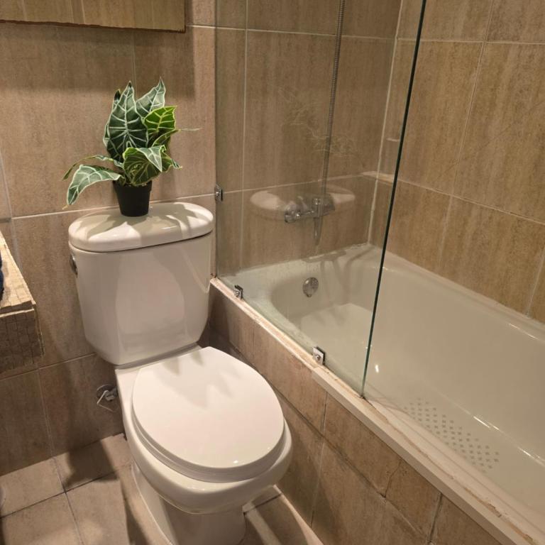 Excelente ubicacion Departamrnto 2 o 1 dormitorio - Two-Bedroom Apartment - 4