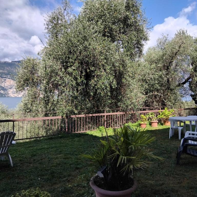 Panoramic Lake View & Garden Apartment - Appartamento con 1 Camera da Letto - 19