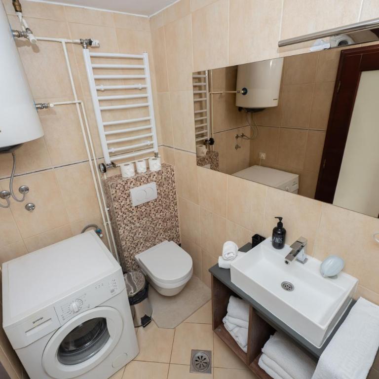 Rooms and apartmants Mirovic - One-Bedroom Apartment - 8