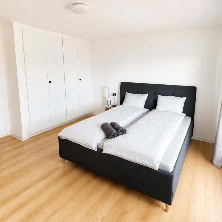 Bright Lake-View Apartment - Apartment mit 2 Schlafzimmern - 7