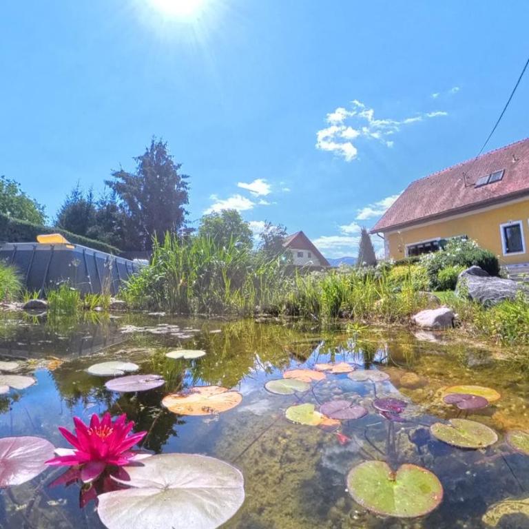 Lauras Ferienwohnung - Ihre Wohlfühloase in der Südweststeiermark mit Garten, Pool, Biotop & Weinbar - Apartment mit 2 Schlafzimmmern und eigenem Pool - 84