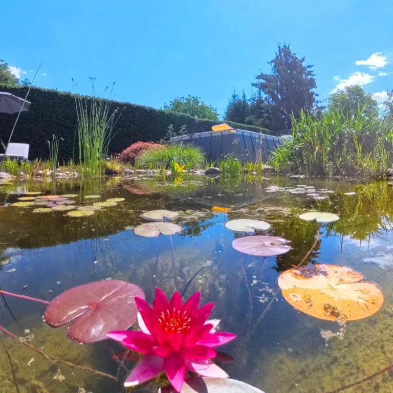 Lauras Ferienwohnung - Ihre Wohlfühloase in der Südweststeiermark mit Garten, Pool, Biotop & Weinbar - Apartment mit 2 Schlafzimmmern und eigenem Pool - 5