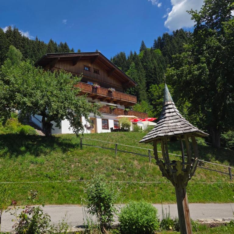 Appartement Grubbauer - Apartment mit 1 Schlafzimmer und Balkon - 1