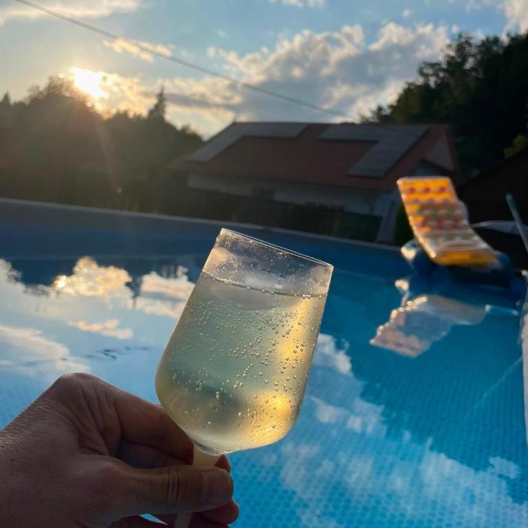 Lauras Ferienwohnung - Ihre Wohlfühloase in der Südweststeiermark mit Garten, Pool, Biotop & Weinbar - Apartment mit 2 Schlafzimmmern und eigenem Pool - 86
