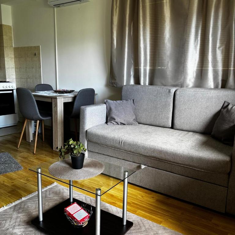 Borak Relax apartments - Apartman sa Balkonom - 2