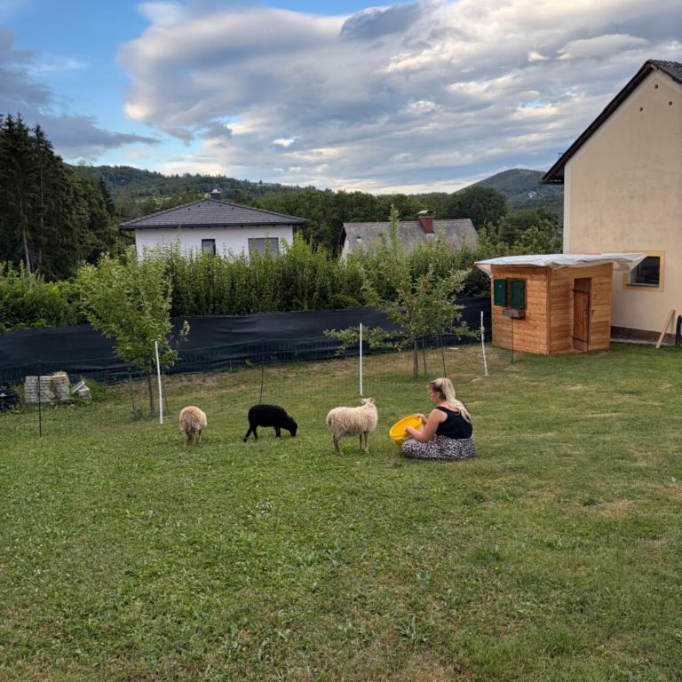 Uriges Bauernhaus mit Blick auf Graz - Chalet - 4