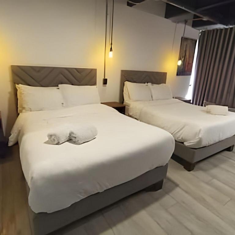 Epic Suite 208 Fam Loft Deluxe 4P - Suite Junior Deluxe - 5
