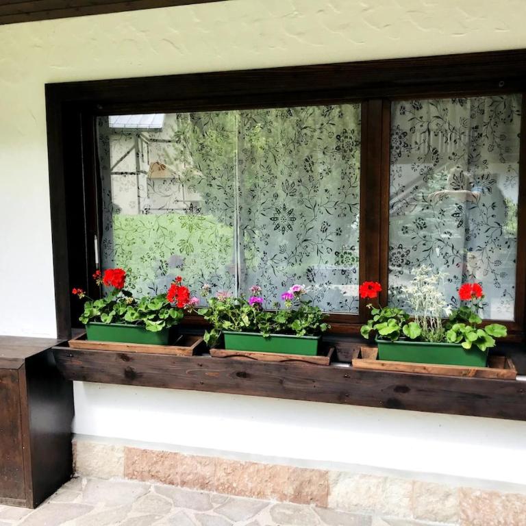 La casa di Frida - Appartamento con 2 Camere da Letto - 31
