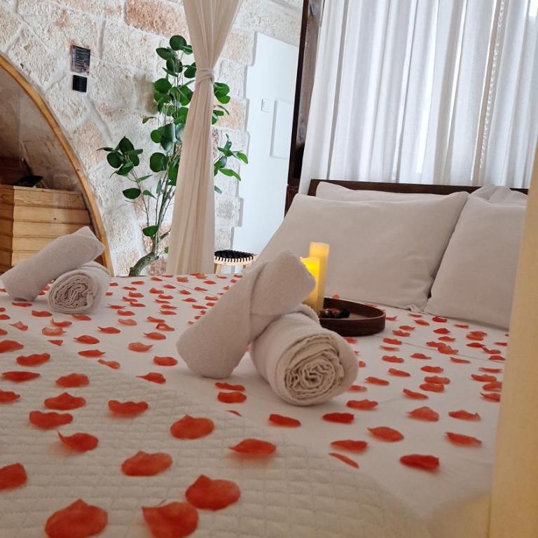 Archè Luxury private Spa - Deluxe Double Room with Shower - 30