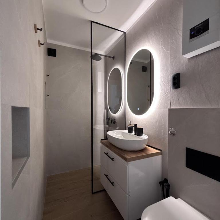 Central apartment Sarajevo - Apartman sa 1 Spavaćom Sobom - 10