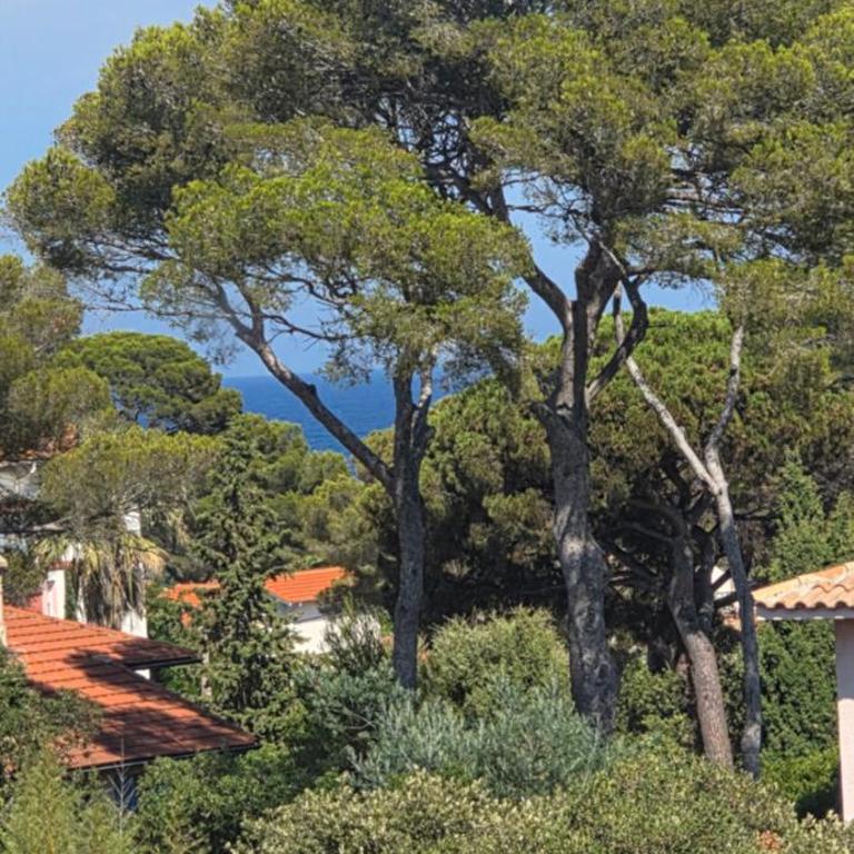 Apartment with sea view - Appartement 2 Chambres - 1