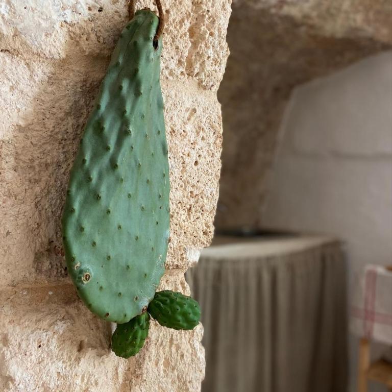 Lamar Studio Ostuni - A charming medieval grotta - Casa con 1 Camera da Letto - 7