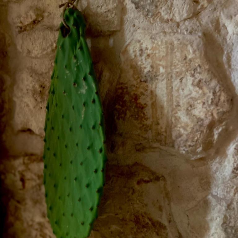 Lamar Studio Ostuni - A charming medieval grotta - Casa con 1 Camera da Letto - 21