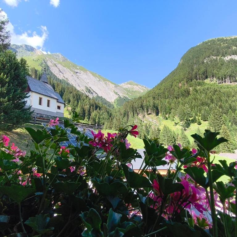 Haus Dabaklamm - Doppelzimmer mit Balkon - 1