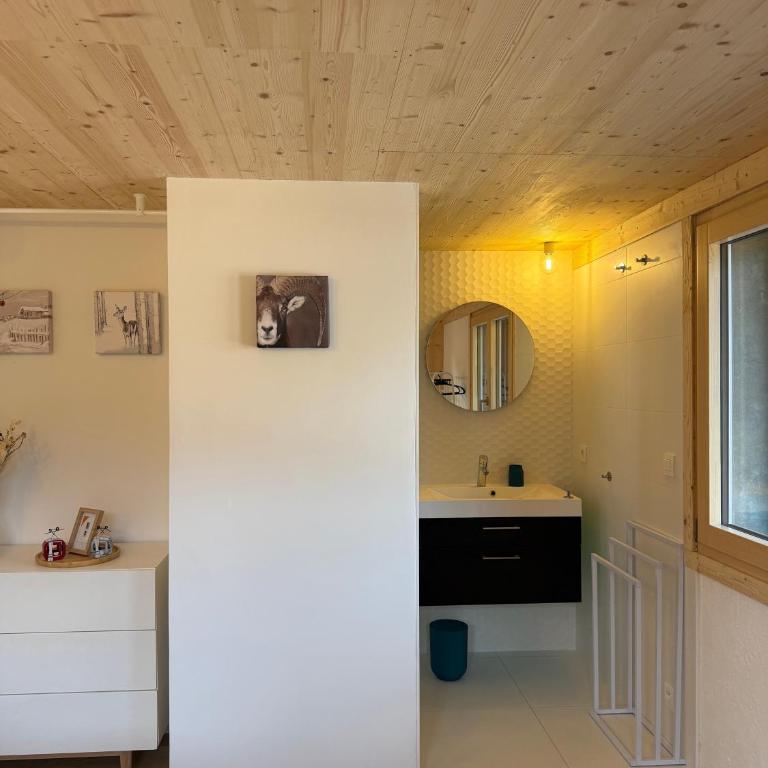 C’Emile - Châtel - Two-Bedroom Deluxe Apartment with Garden View - 5