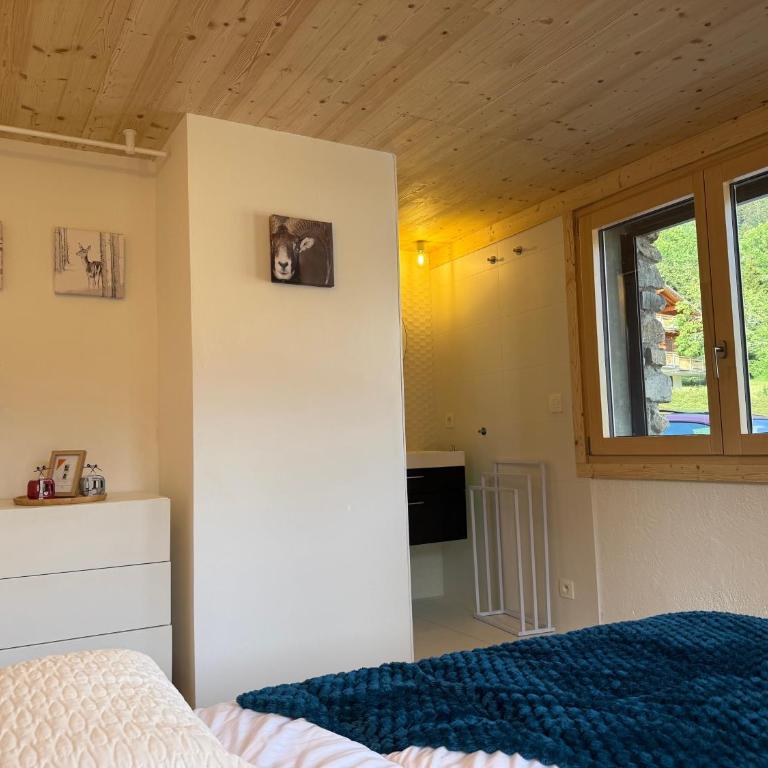 C’Emile - Châtel - Two-Bedroom Deluxe Apartment with Garden View - 6