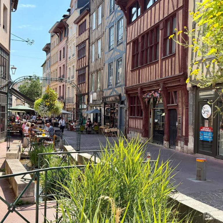 Le Clocher de Robec - Vue exceptionnelle à Rouen - Appartement 1 Chambre Deluxe - 23