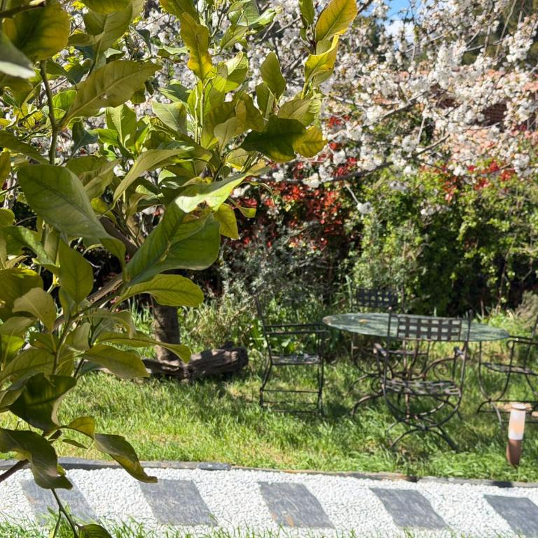 Studio Premium Pandora Sanary - Maisonette Studio - 33