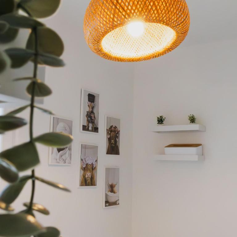 Le cocon, centre Reims, Climatisation, Terrasse - Appartement 2 Chambres - 14