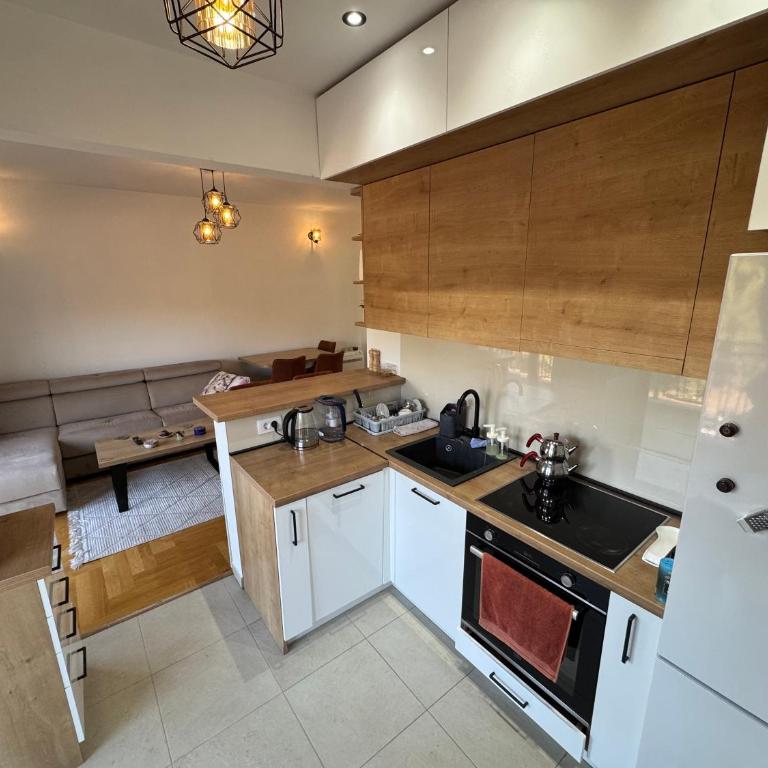 DM Apartman - Apartman sa 1 Spavaćom Sobom - 3