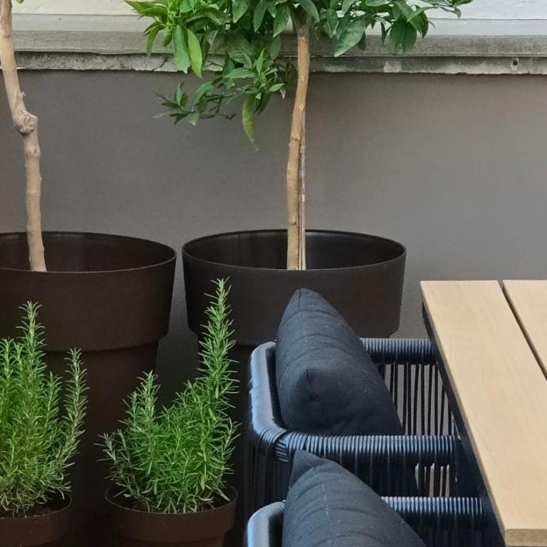 RYAP Puerta Real - Apartment mit 2 Schlafzimmern - 42
