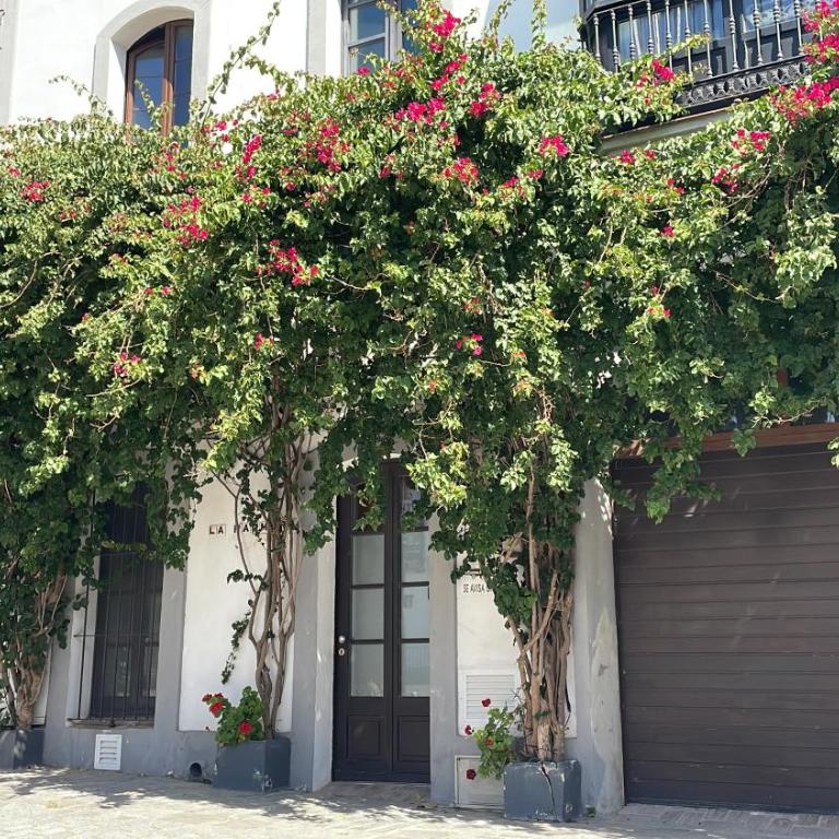 Darcilla Guest House - Studio - barrierefrei - 10