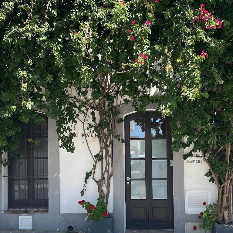 Darcilla Guest House - Studio - barrierefrei - 11