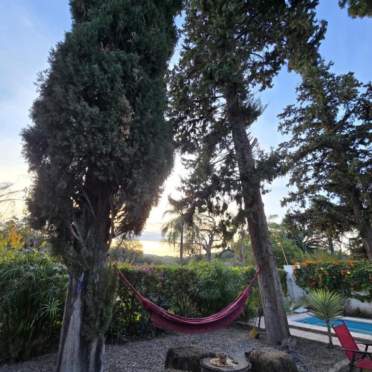 La Chiquitita - Apartamento de 1 dormitorio - 10