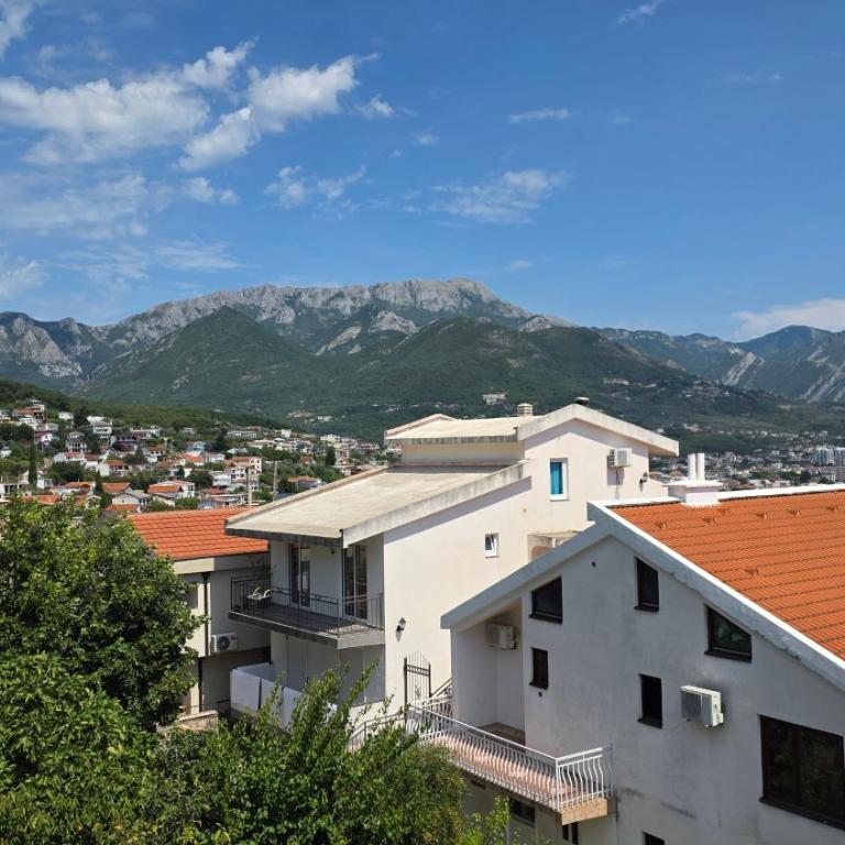 Apartman Durovic - Apartman sa 1 Spavaćom Sobom - 8