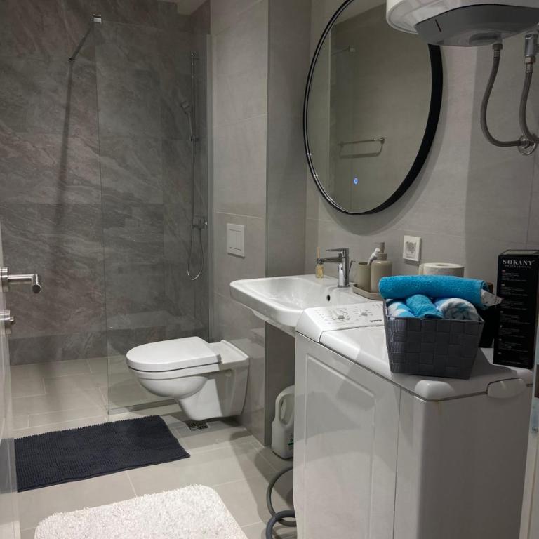Vi Lux Apartments - Deluks Apartman sa 1 Spavaćom Sobom - 48