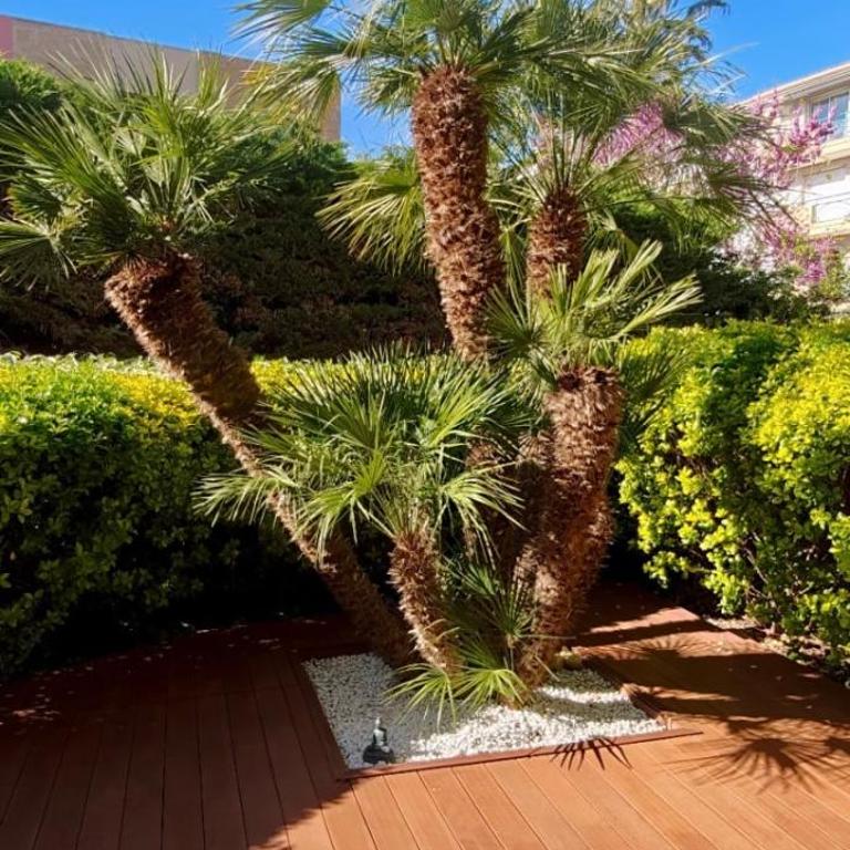 T2 150m from the beach - Appartamento - 6