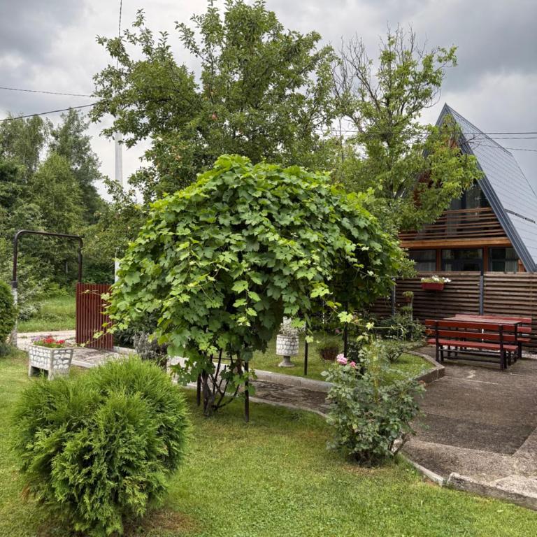 VillaH Weekend House - Haus mit 1 Schlafzimmer - 23