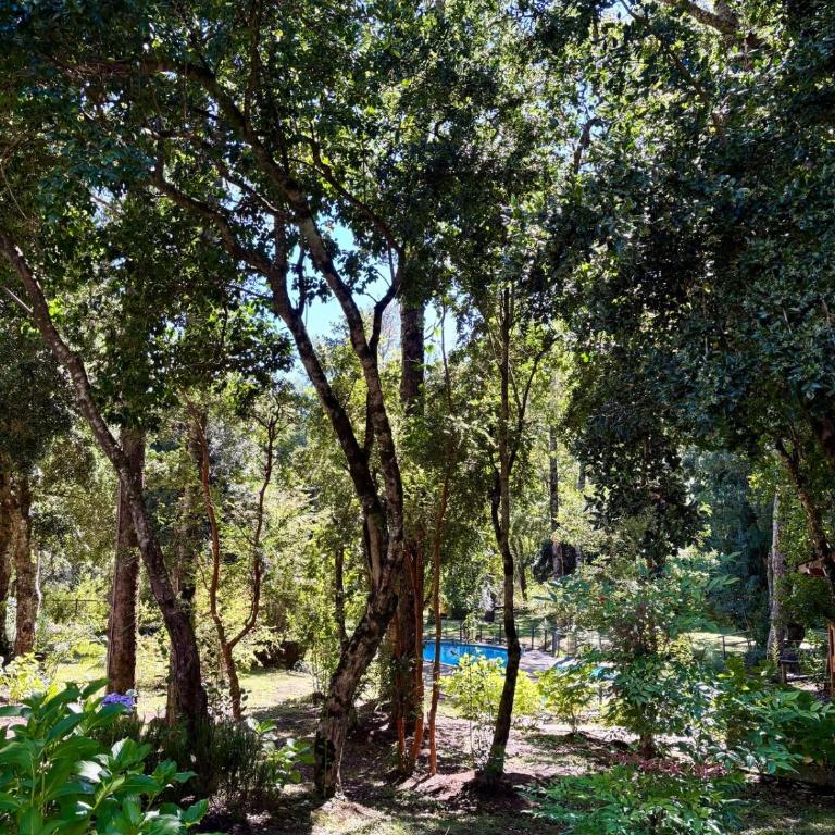 Departamento 3 min del centro y cerca del volcán - Apartamento de 1 dormitorio - 7