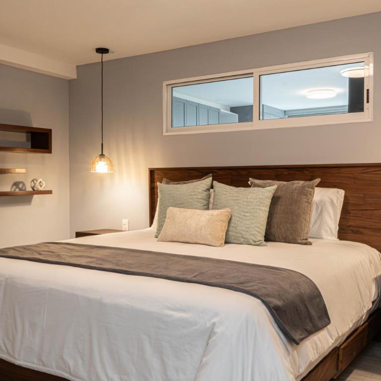 Homero 538: Apartamentos Equipados en Polanco - One-Bedroom Apartment with City View - 11