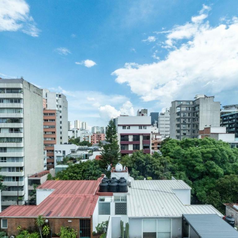 Homero 538: Apartamentos Equipados en Polanco - One-Bedroom Apartment with City View - 13