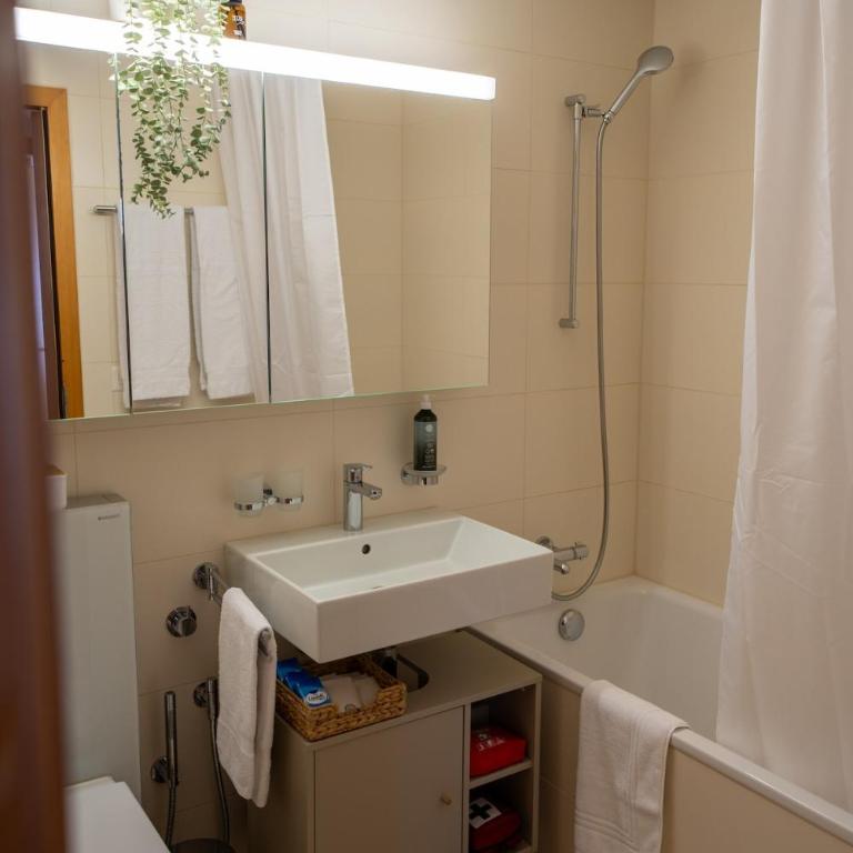 Via Radiras - Laax, Flims, Caumasee, Wandern - Apartment mit 2 Schlafzimmern mit Balkon und Terrasse - 20