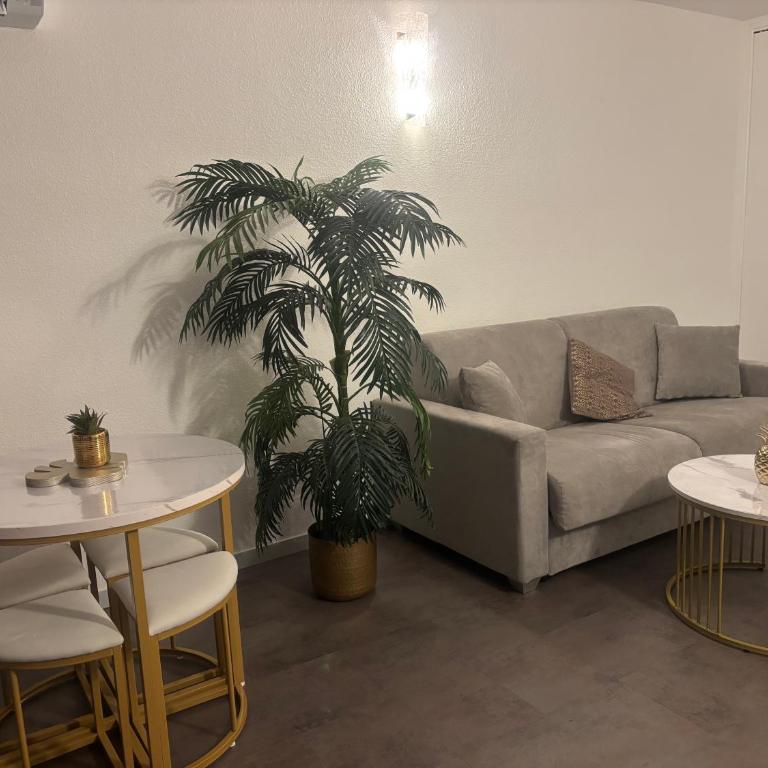 Studio proche mer - Appartement 1 Chambre - 3