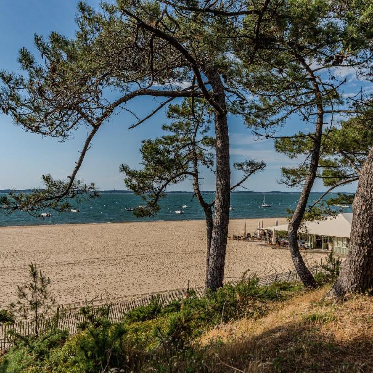 Studio vue mer - direct plage - Studio mit Terrasse - 13