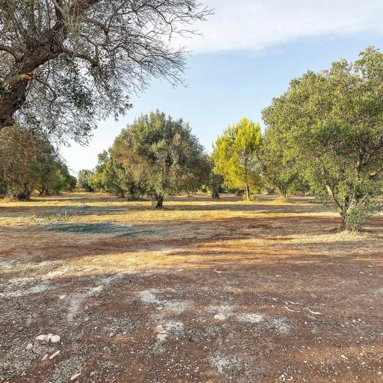 Trullo Dimora Deserto - Ancient - Villa con Vista Giardino - 30