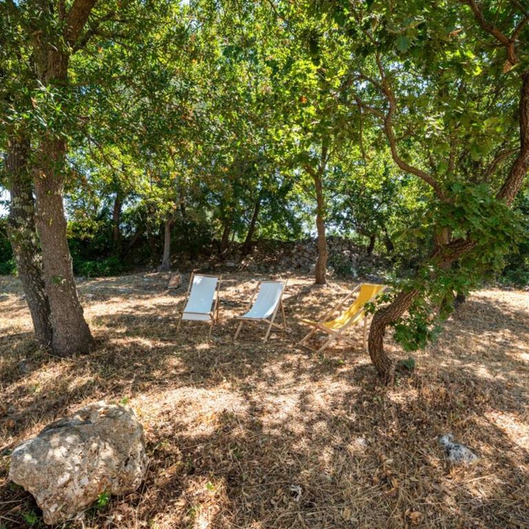 Maison Sessana villa with solarium & olive grove - Villa con 1 Camera da Letto - 19