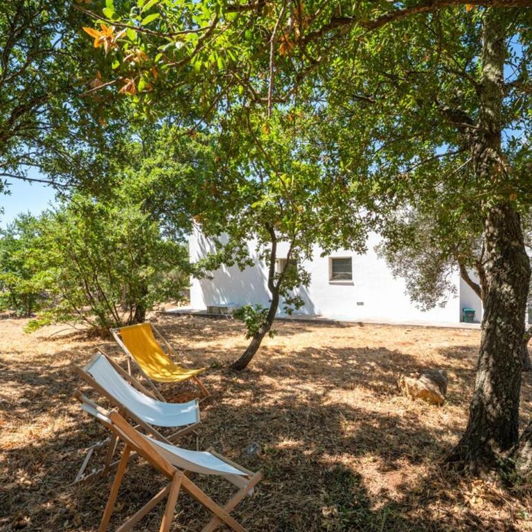 Maison Sessana villa with solarium & olive grove - Villa con 1 Camera da Letto - 20