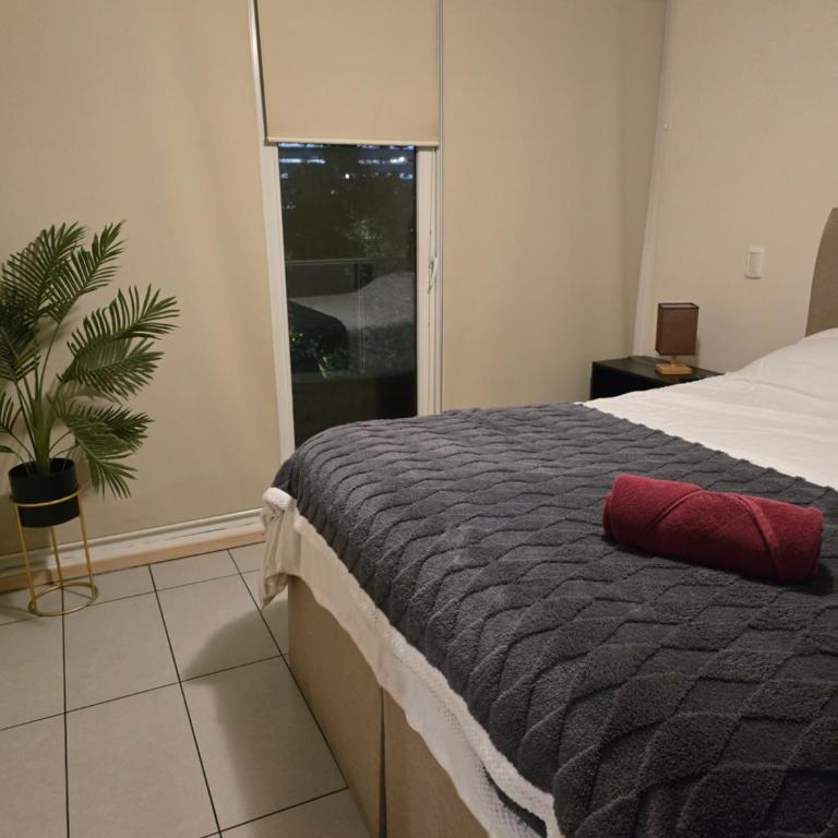 Apartamento Barrio Italia Ñuñoa - One-Bedroom Apartment - 4
