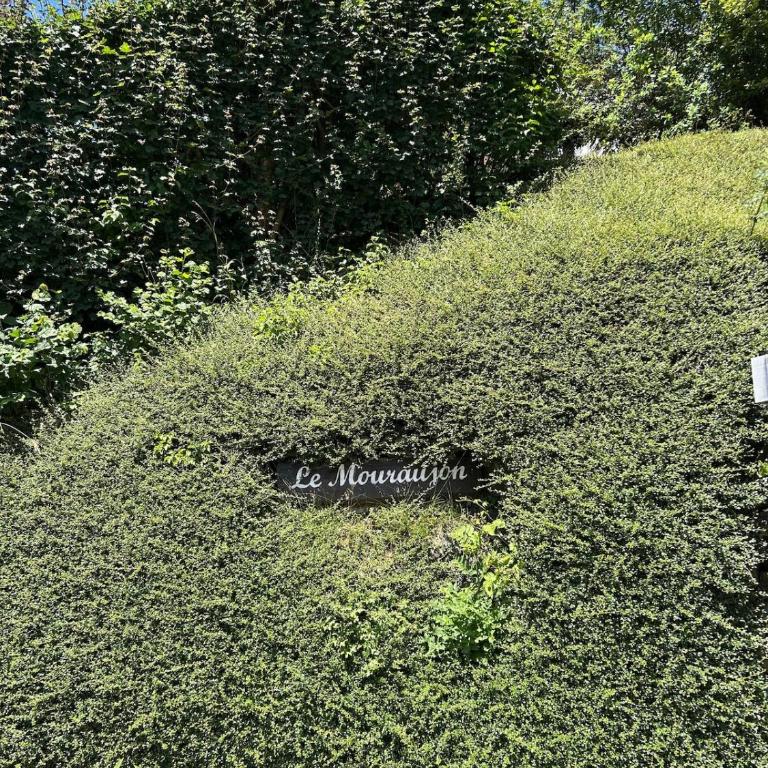 breathtaking views to Pleney - Maison 1 Chambre - 11