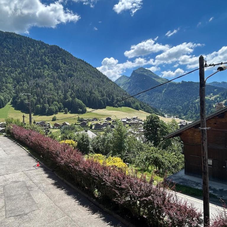 breathtaking views to Pleney - Maison 1 Chambre - 13